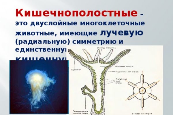 Кракен тор зеркало