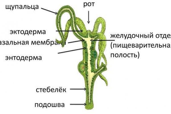 Ссылка на кракен даркнет