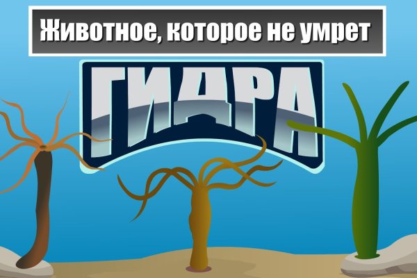 Что такое кракен шоп